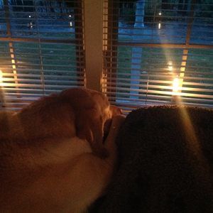 Meet your Posher, Christian